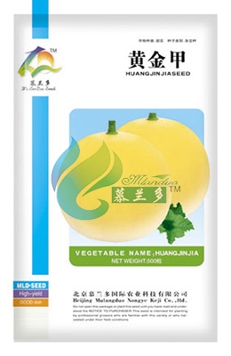 黄金甲