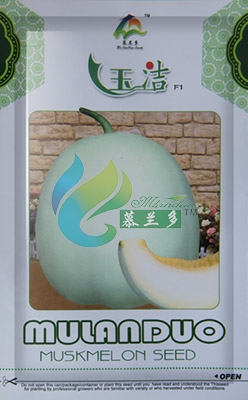 玉洁