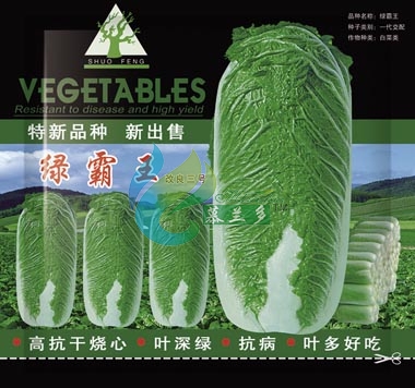 绿霸王
