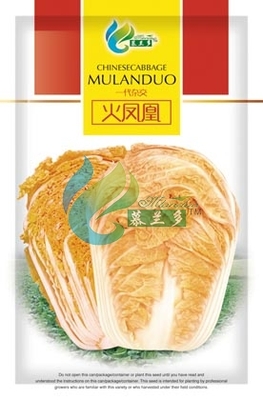 火凤凰