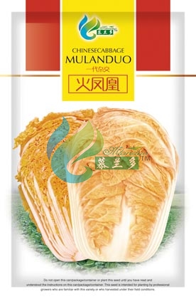 火凤凰