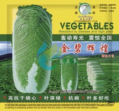 金碧辉煌