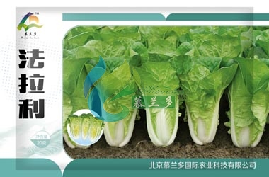 法拉利
