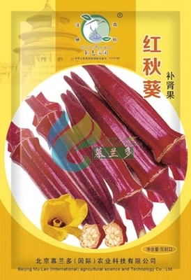红秋葵