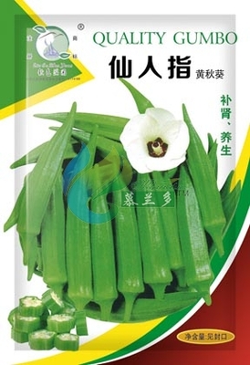 仙人指