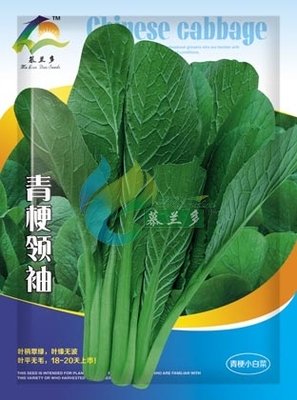 青梗领袖