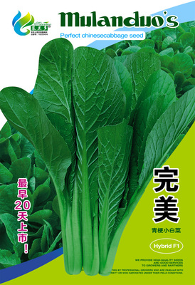 完美