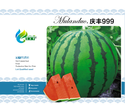 庆丰999