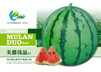 美都优品