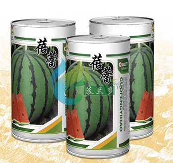 蓓蕾西瓜