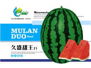 久盛甜王