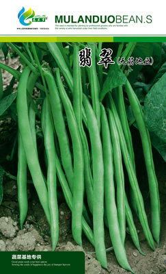 翡翠