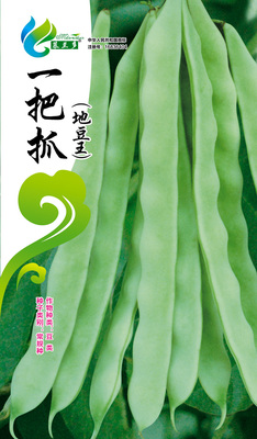 一把抓大