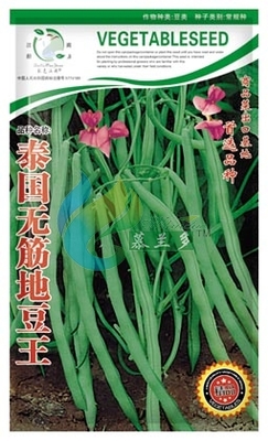 泰国无筋地豆王