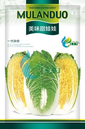 美味娃娃菜