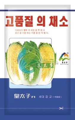 皇太子