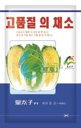 皇太子