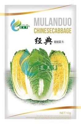 经典