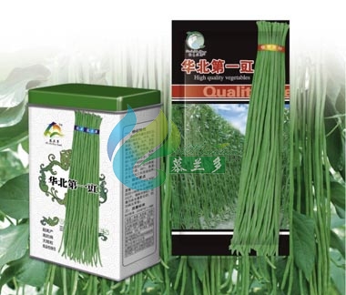 华北**豇