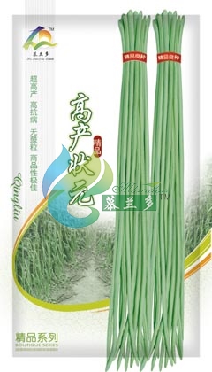 高产状元