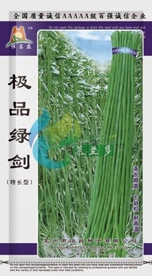 **绿剑
