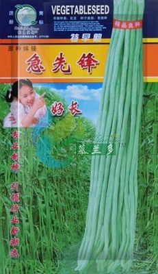 急先锋