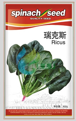 瑞克斯