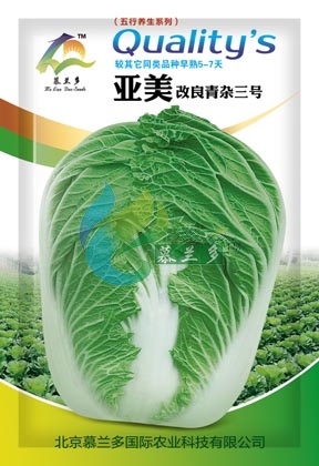 亚美改良青杂三号