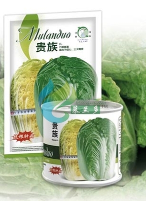 贵族