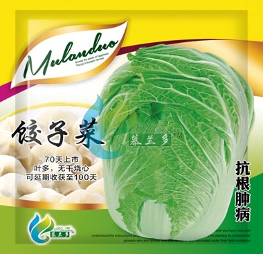 饺子菜