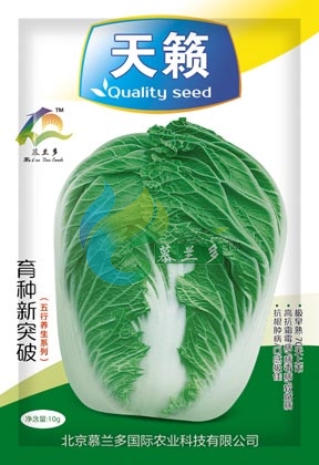 天籁