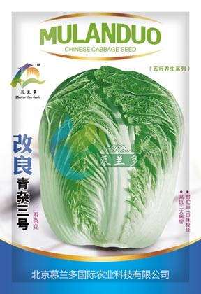 改良青杂三号