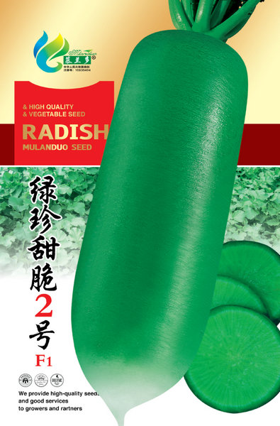 绿珍甜脆２号