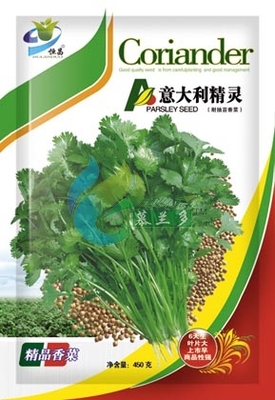 意大利精灵