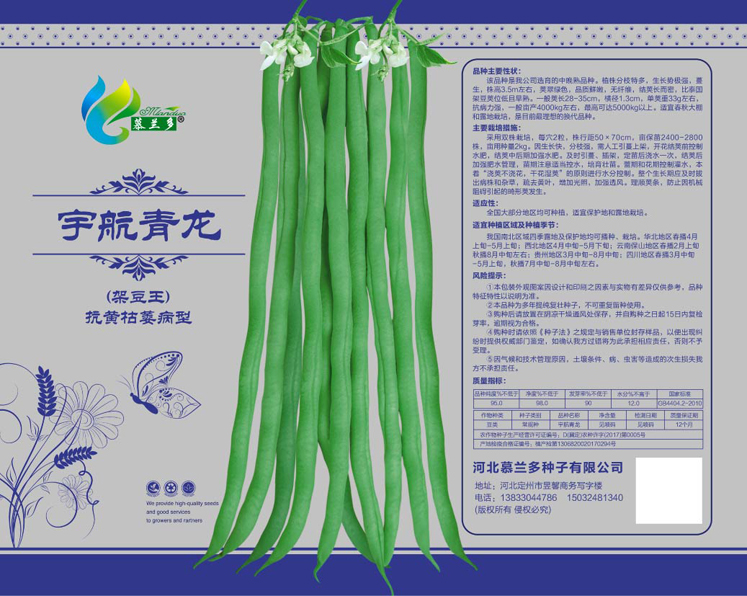 宇航青龙