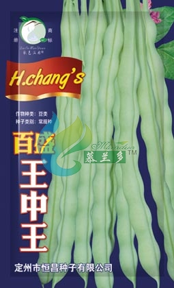 百盛王中王