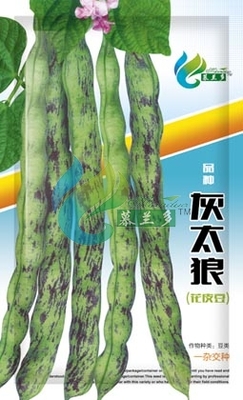 灰太狼