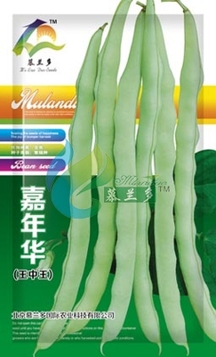 嘉年华