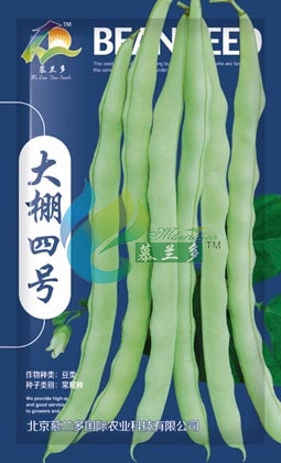 大棚四号
