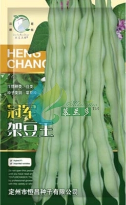 **架豆王