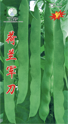 荷兰军刀